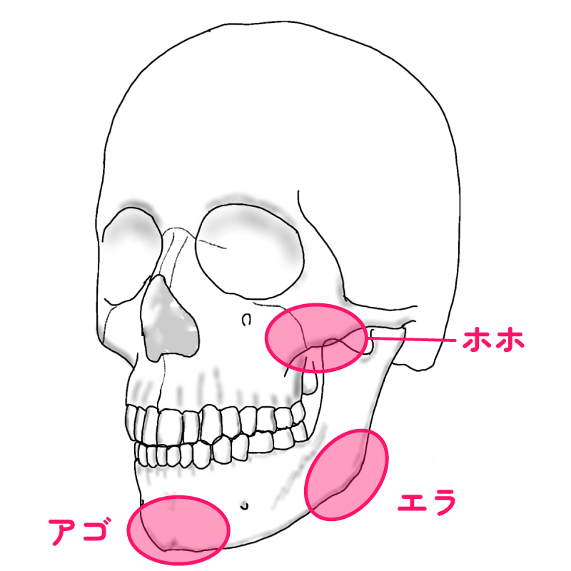 頬・エラ・顎の骨にアプローチ図解