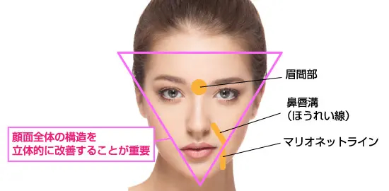 顔面全体の構造を立体的に改善することが重要